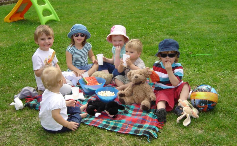 Piquenique é uma forma divertida de passar um aniversário infantil