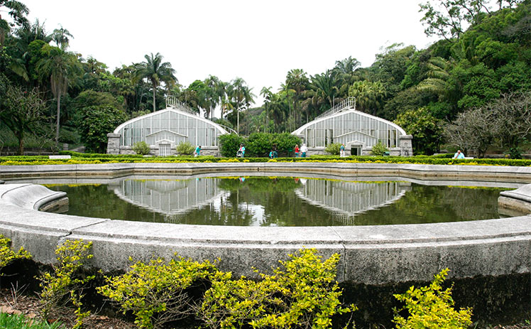 Zoológico de São Paulo – um guia completo com atrações, preços, como ...