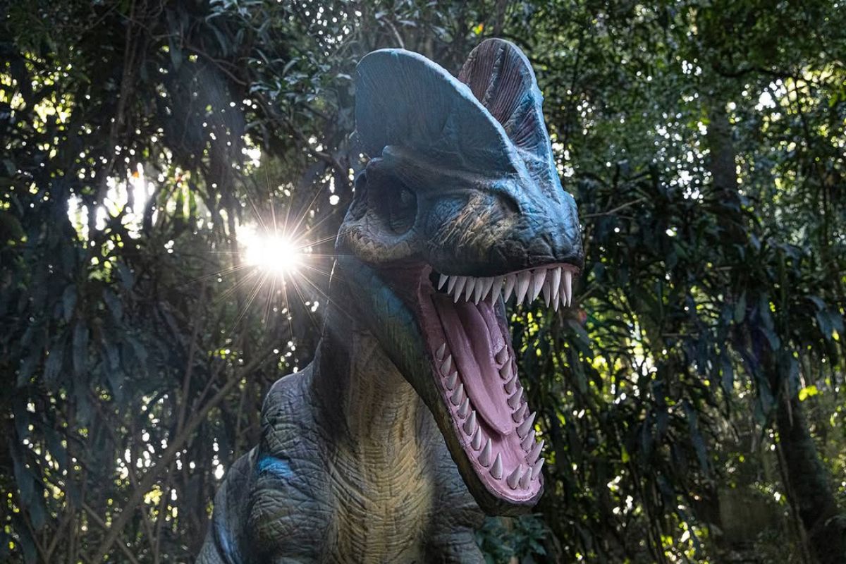 Mundo Dino Zoo Sp