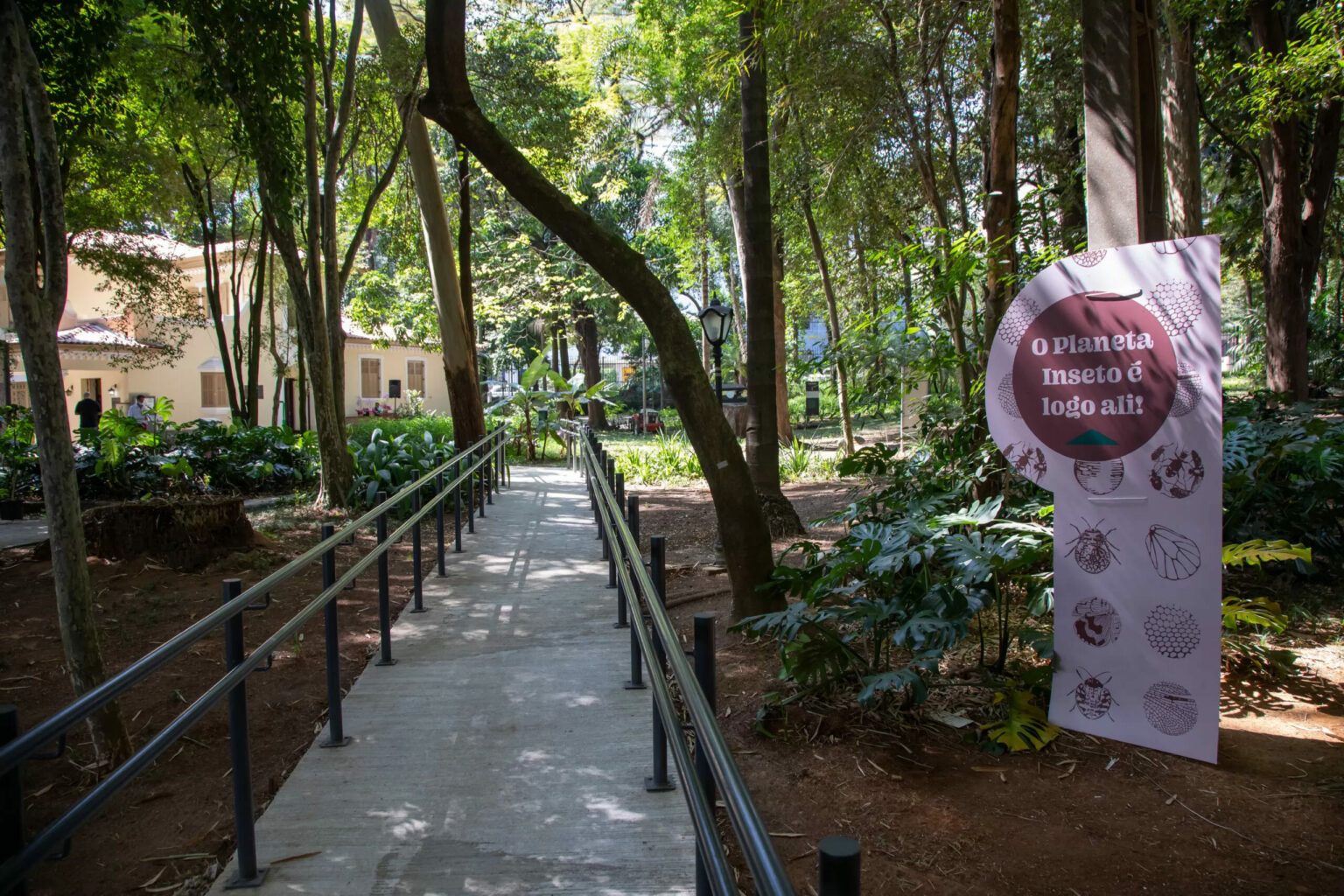 Planeta Inseto: único zoológico de insetos do país tem até corrida de ...