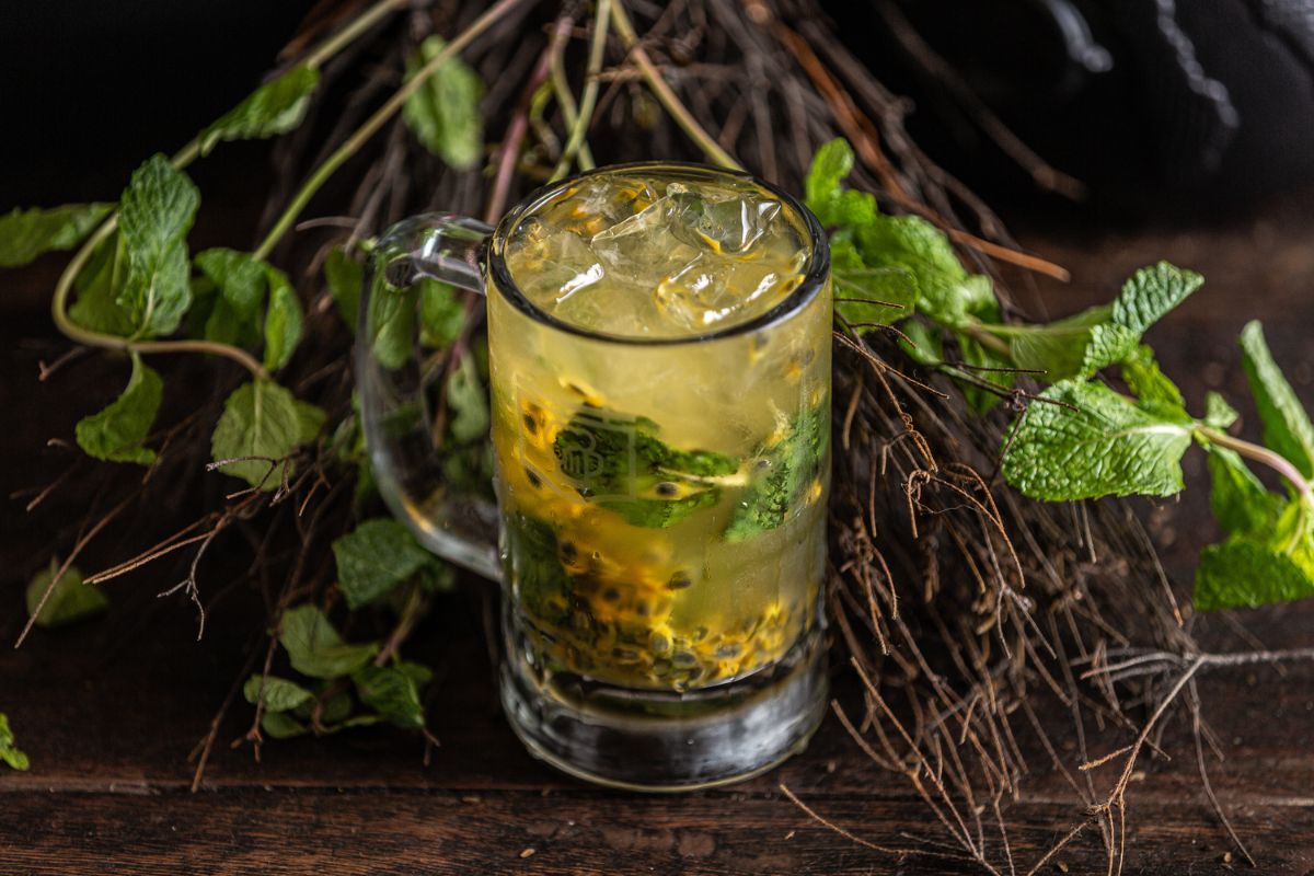 DrinkBálsamo do Curandeiro Xamã