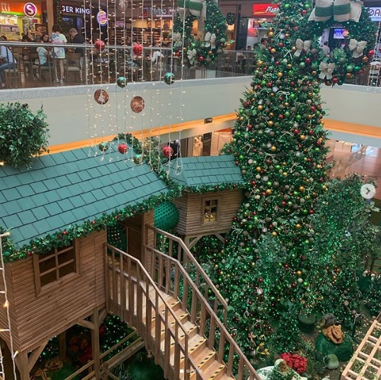 Download Sao Paulo Para Criancas Gratis A Casa Da Arvore Na Floresta Do Free Get Wallpaper Sao Paulo Para Criancas Gratis A Casa Da Arvore Na Floresta Do For Android Free