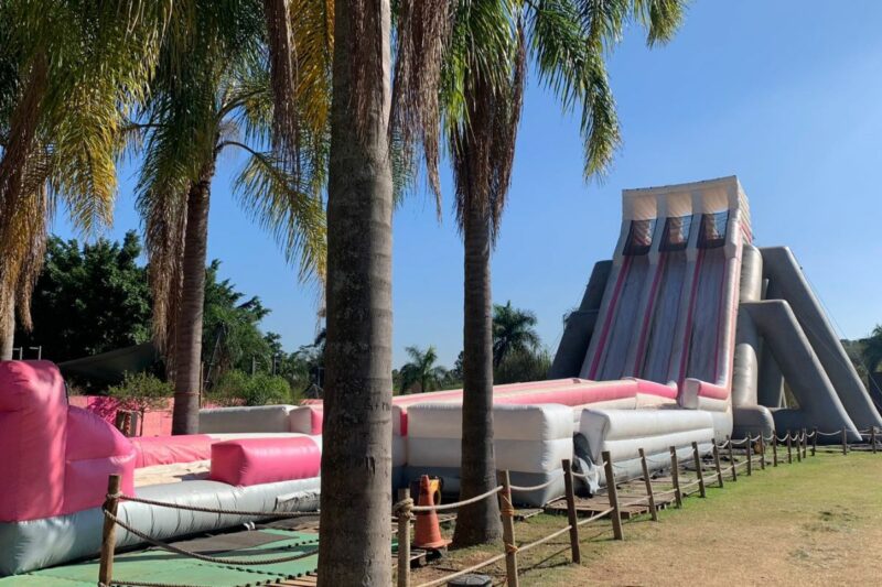 Família no Parque, no Parque Villa Lobos