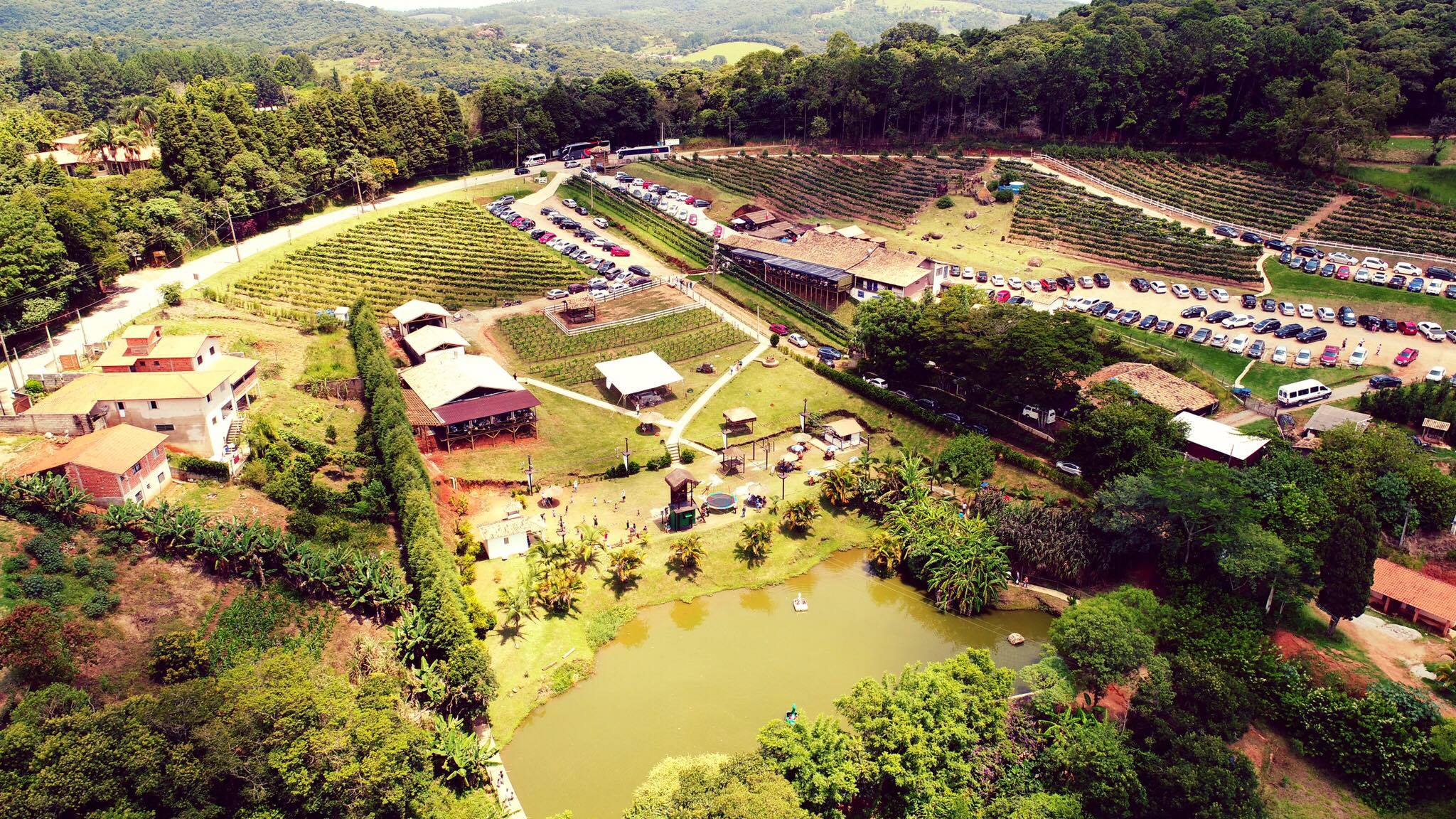 Quinta do Olivardo