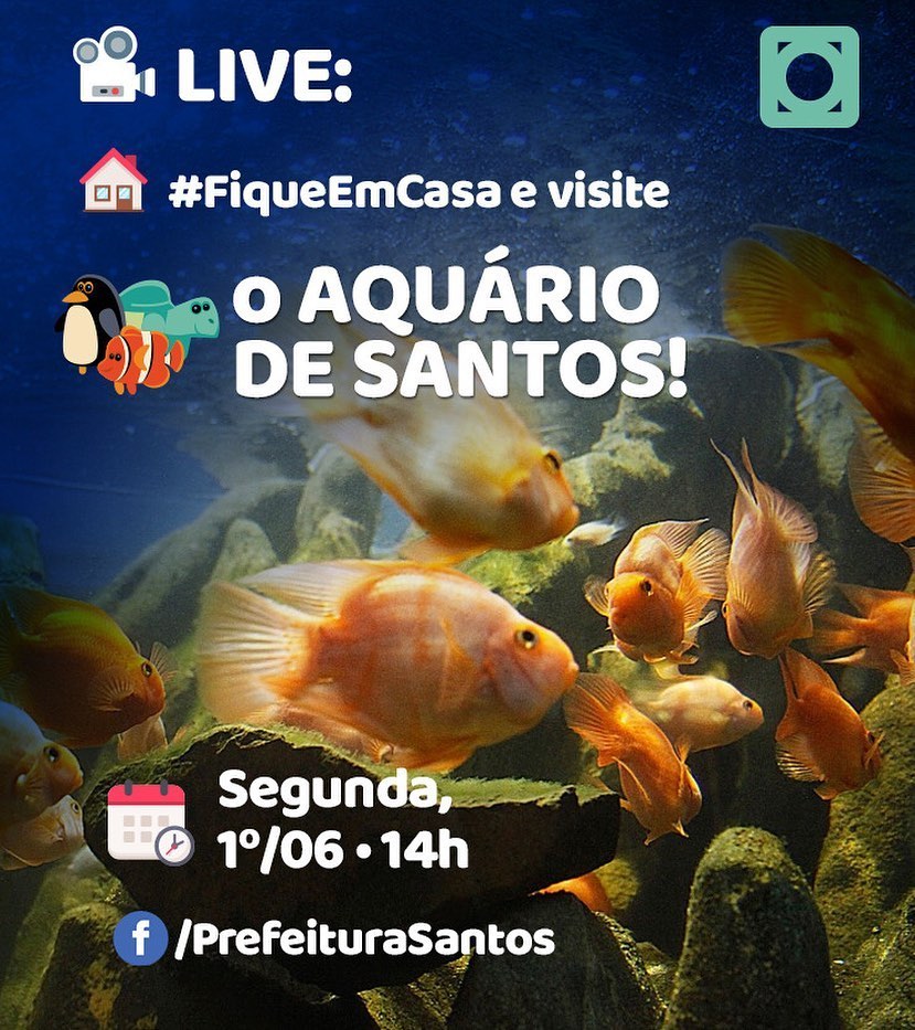 Live no Aquário de Santos: evento abre a Semana do Meio Ambiente em ...
