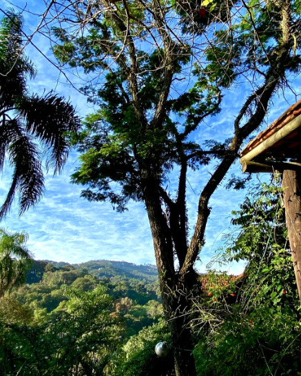 Quinta da Canta