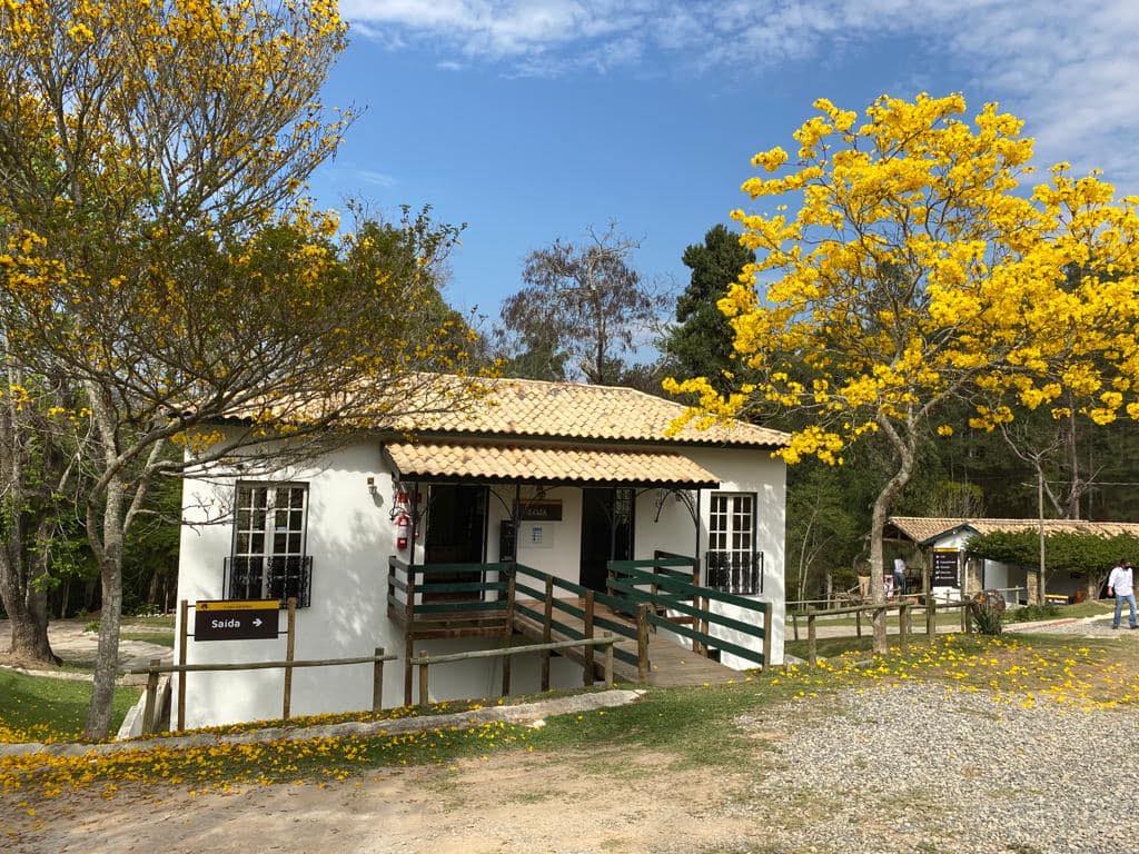 Vinícola Casa da Árvore