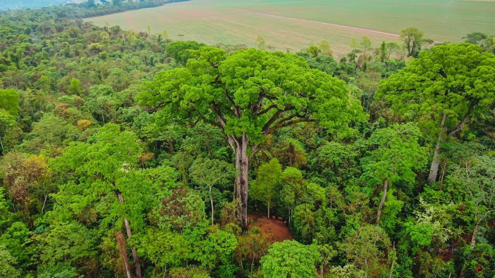 Parque Estadual Vassununga