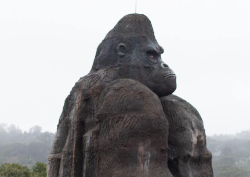 Animalia Park