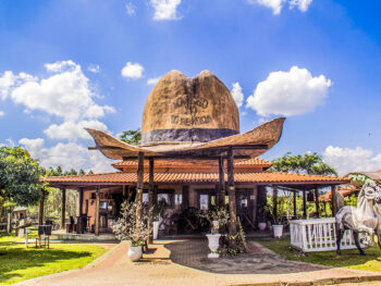 sp_criancas_thermas_water_park_sao_pedro