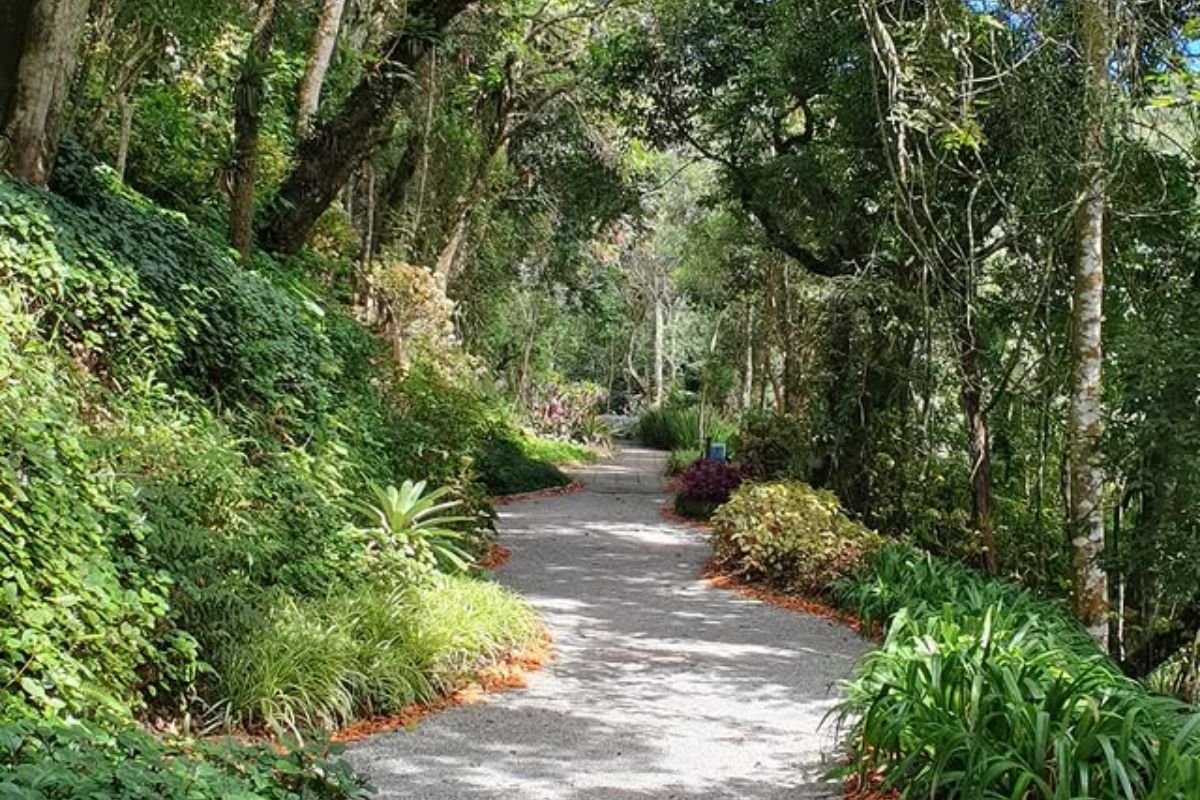 Parque Amantikir