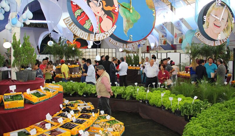 37º edição do Festival de Outono Akimatsuri começa em abril em Mogi das Cruzes