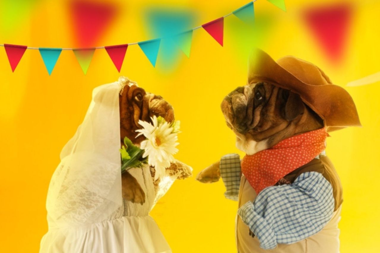 sp_criancas_festa_junina_cachorrodromo