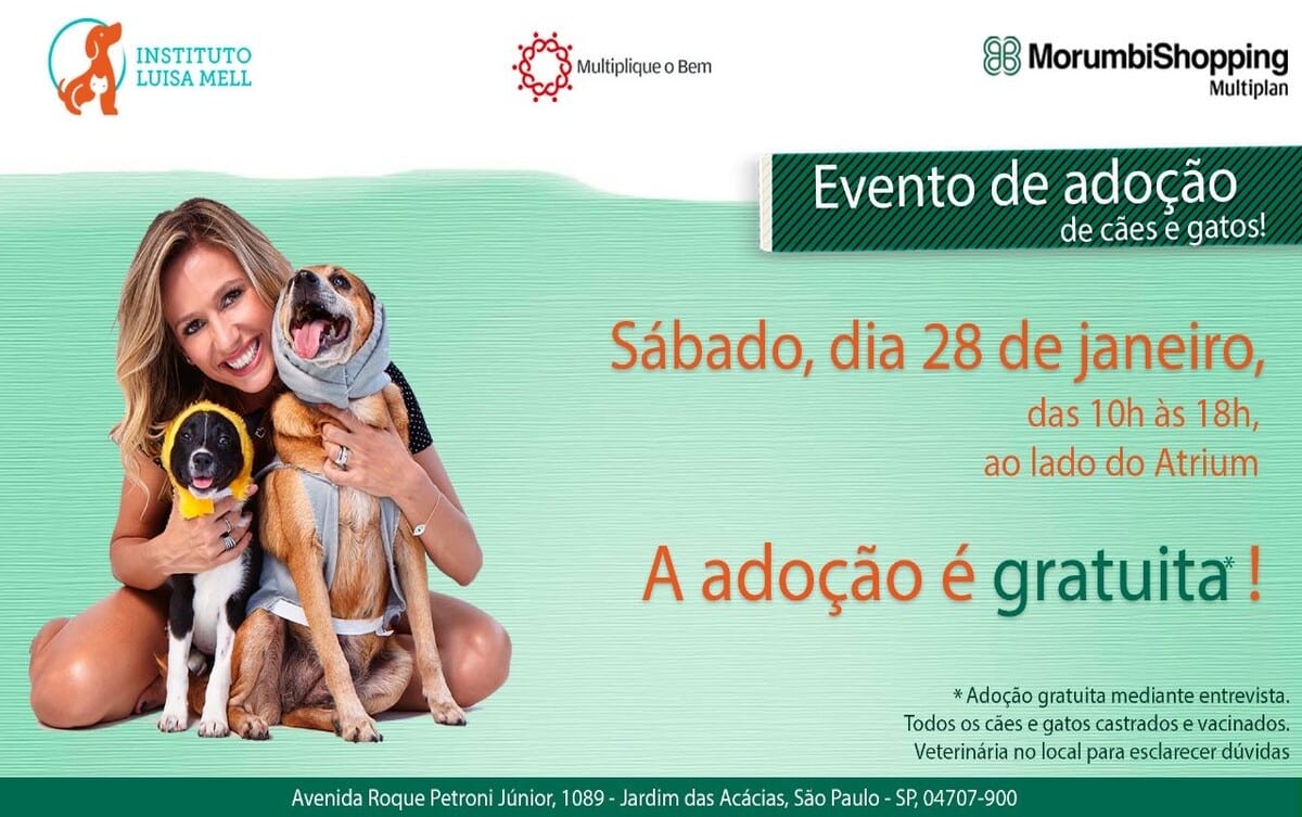 sp_crianca_passeios_feira_de_adocao_pet_morumbi_shopping_1
