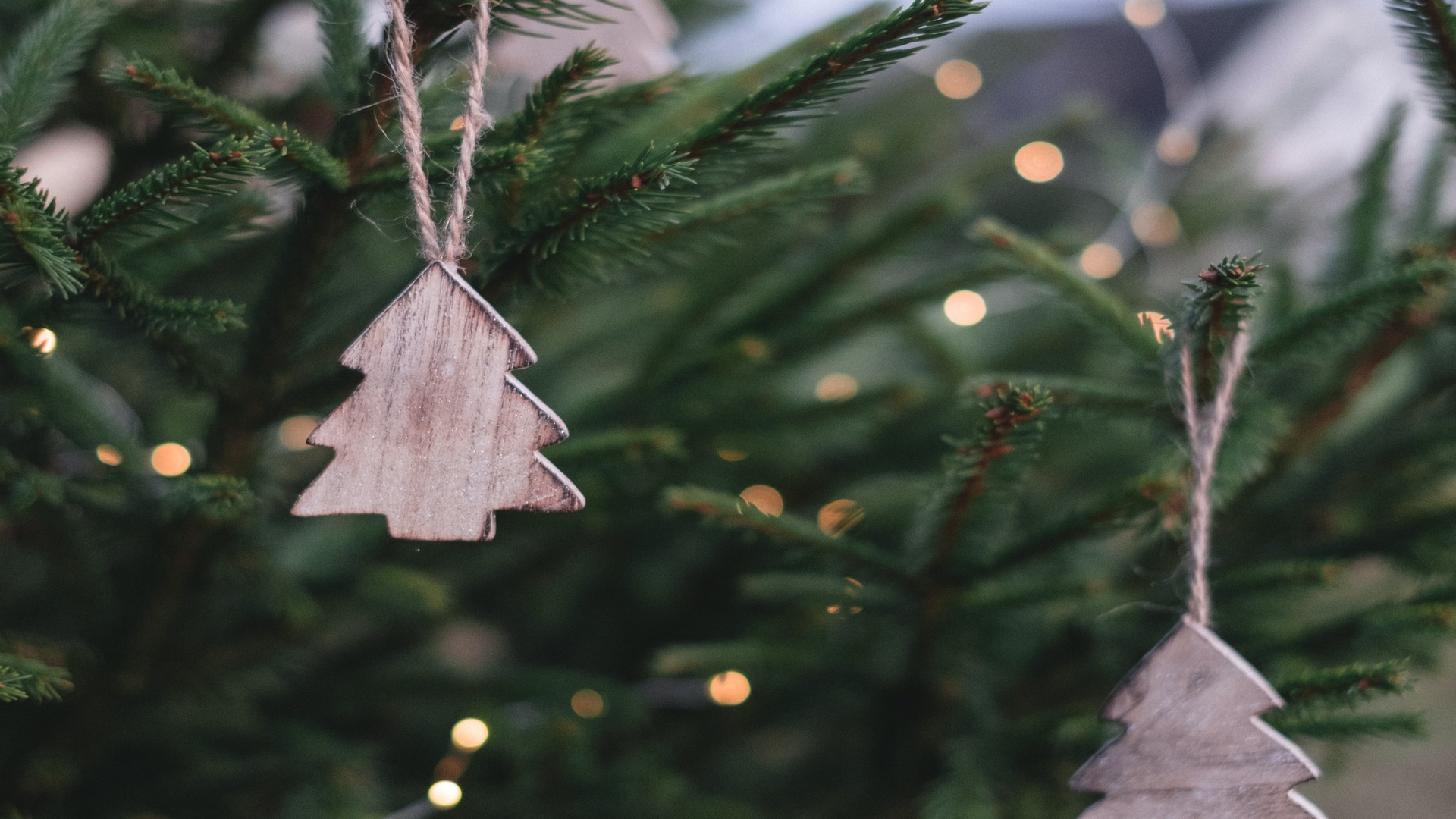 D&D Shopping realiza exposição gratuita com 40 árvores de Natal