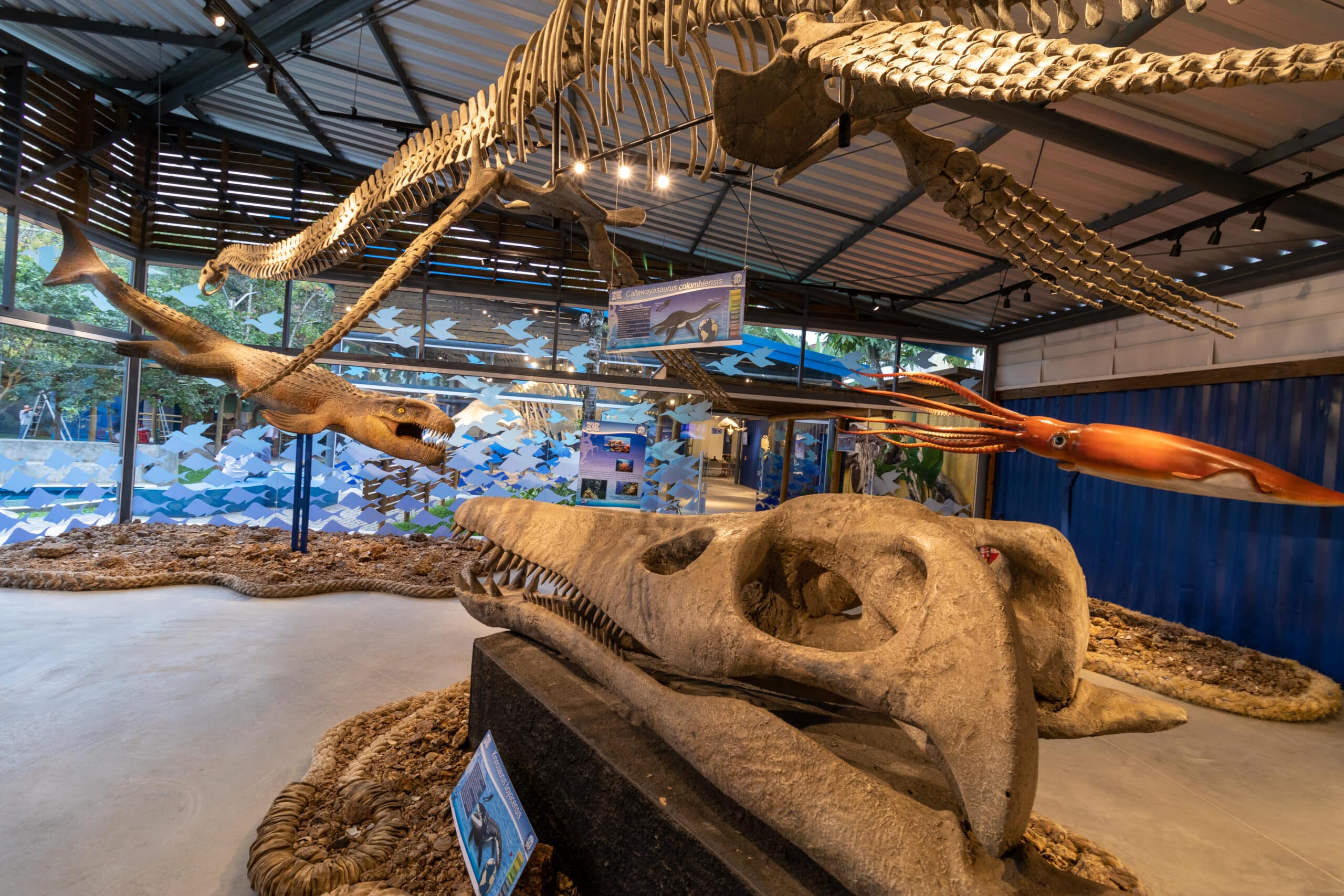 sp_crianca_museu_da_vida_marinha