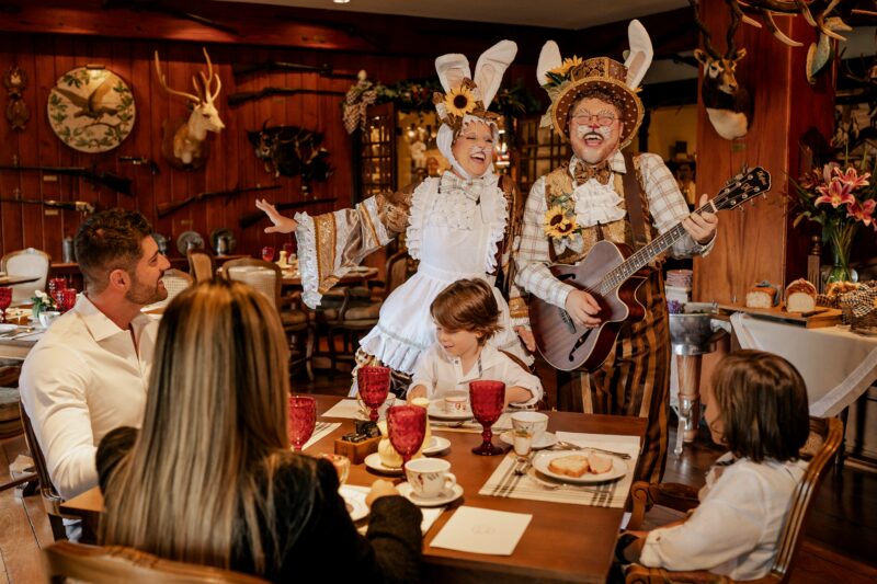 Hotel Casa da Montanha