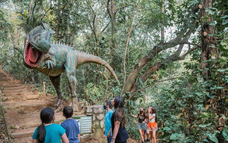 Parque Dinossauros do Brasil, passeio no parque é uma opção para passar um aniversário infantil 