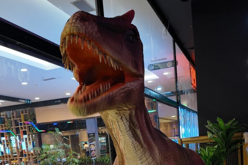 T-Rex Jump no Shopping D