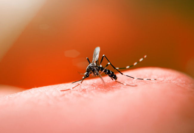 Quais são os sintomas da Dengue? 