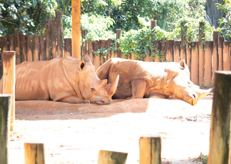 zoo