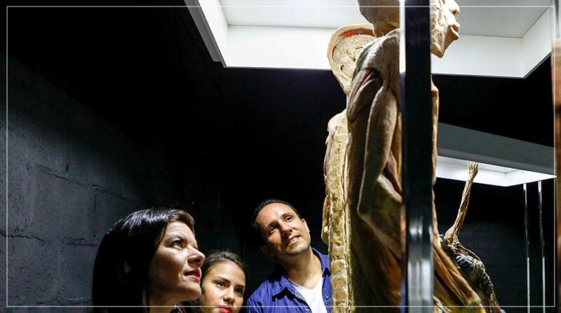 Exposição Internacional ‘Corpo Humano’ chega a São Paulo