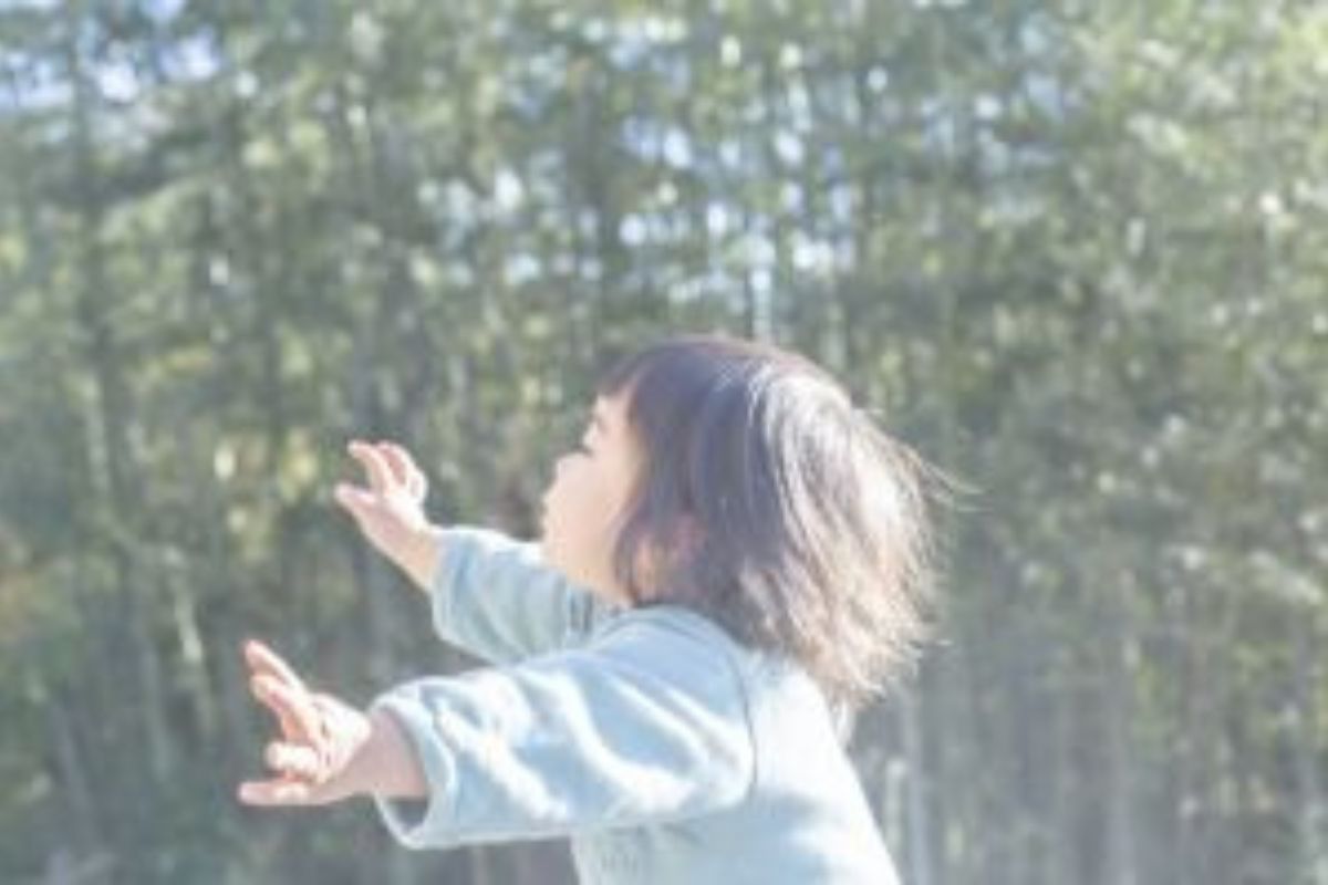 Exposição A Vida que ser Revela na Japan House