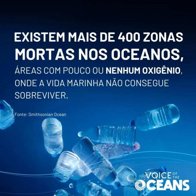 Exposição Voz dos Oceanos
