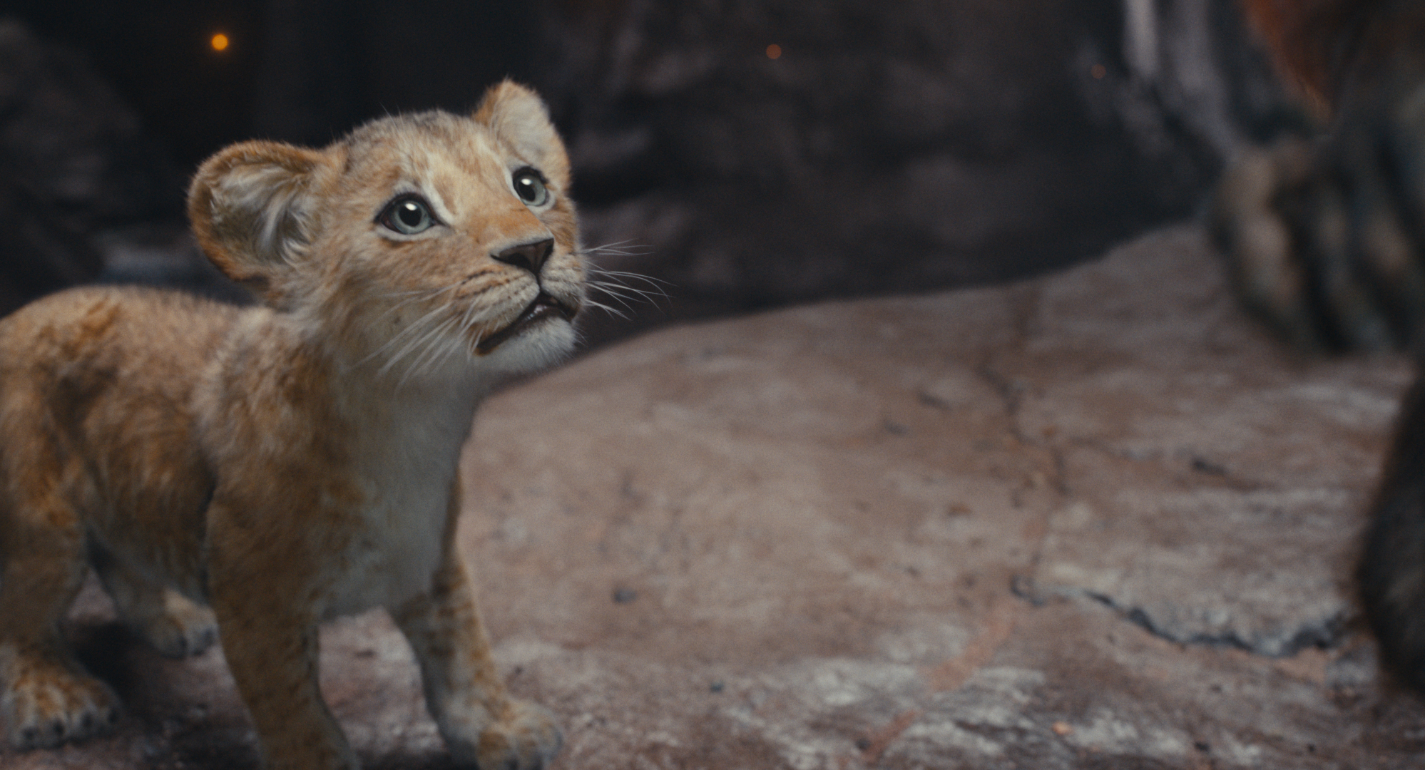 Mufasa: O Rei Leão