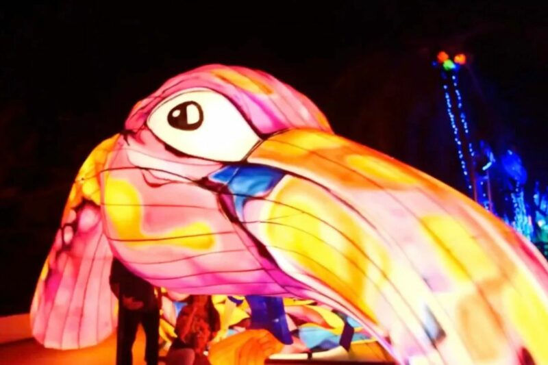 Lektrik, festival de luzes