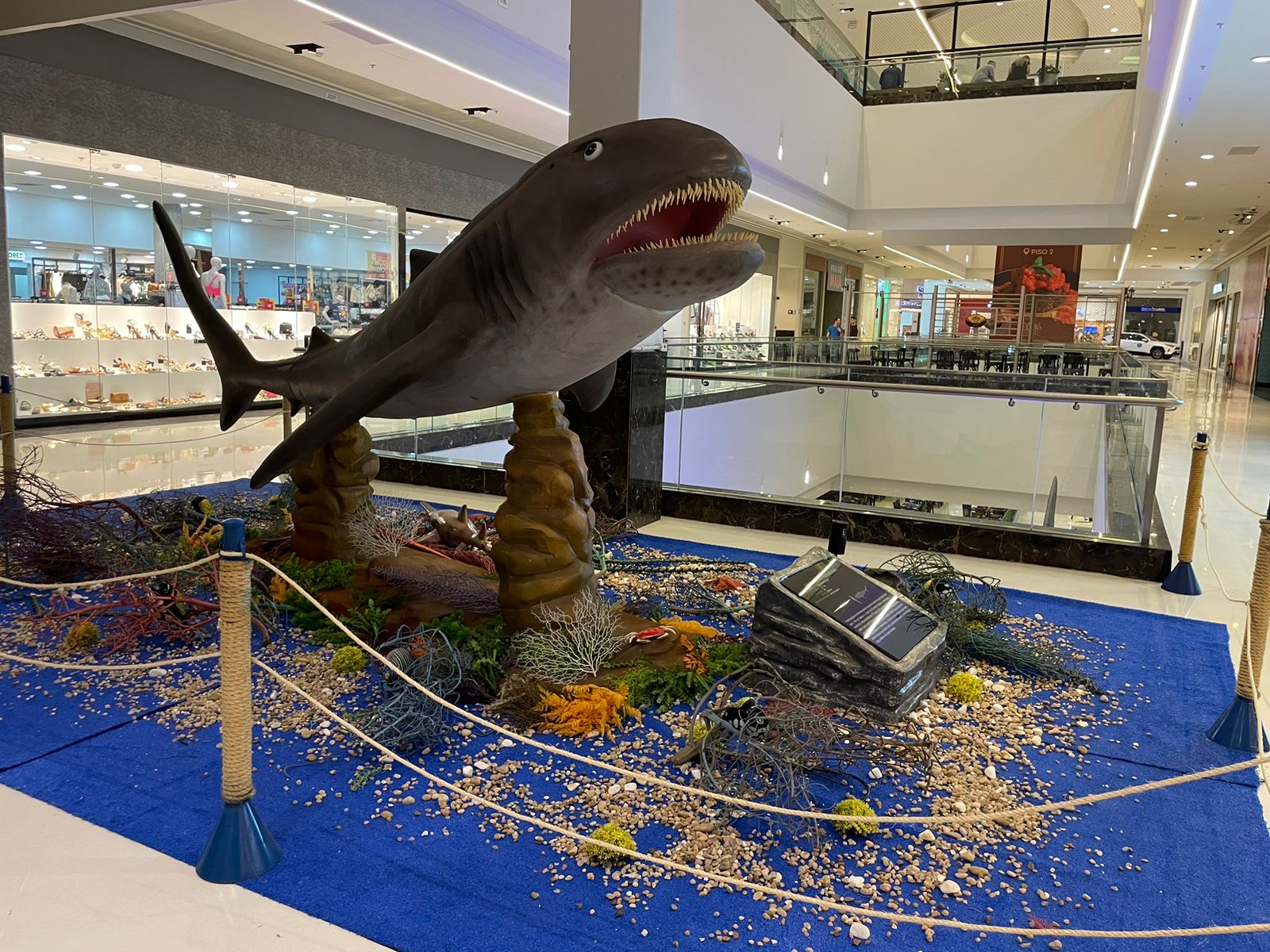 Expo Shark - Parque Shopping Maia