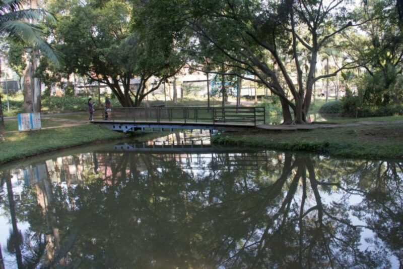 Parque Regional da Criança Palhaço Estremilique