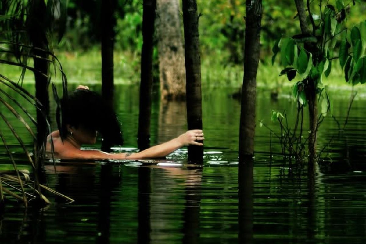 CCBB exposição fotógrafas do Pará