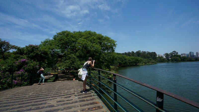 Parque do Ibirapuera