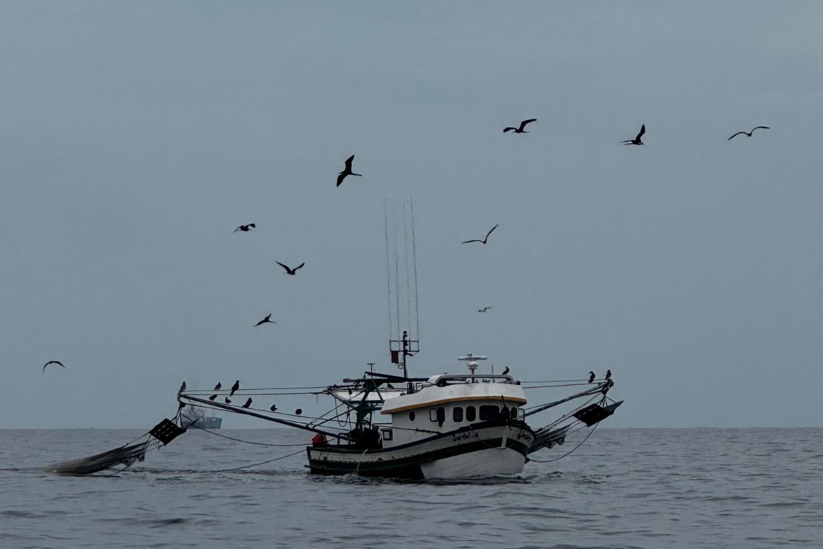 Ilhabela
