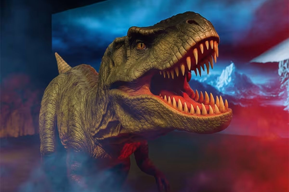 Jurassic Safari