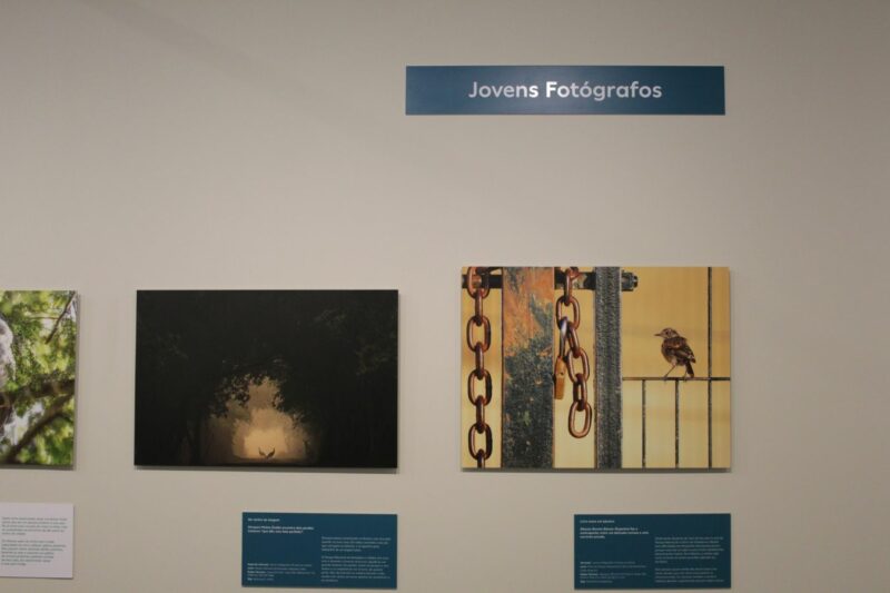 Créditos: Cesar de Araújo - São Paulo para Crianças/ Exposição no Museu do Catavendo "Fotógrafo de Vida Selvagem do Ano"