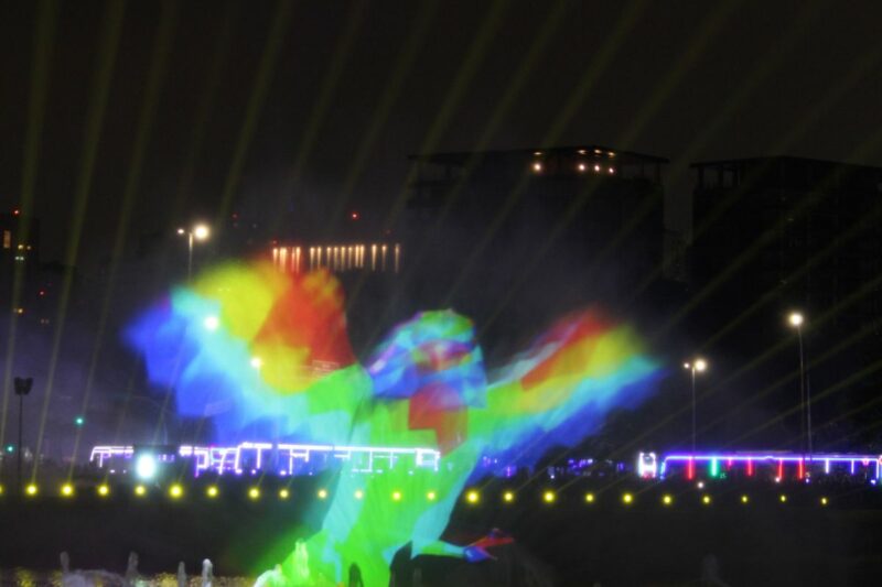 Árvore do Ibirapuera