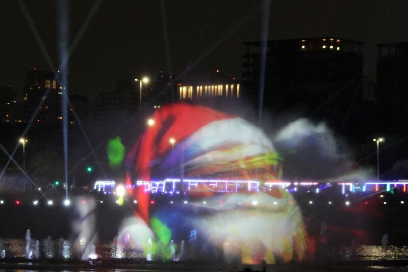 Árvore do Ibirapuera