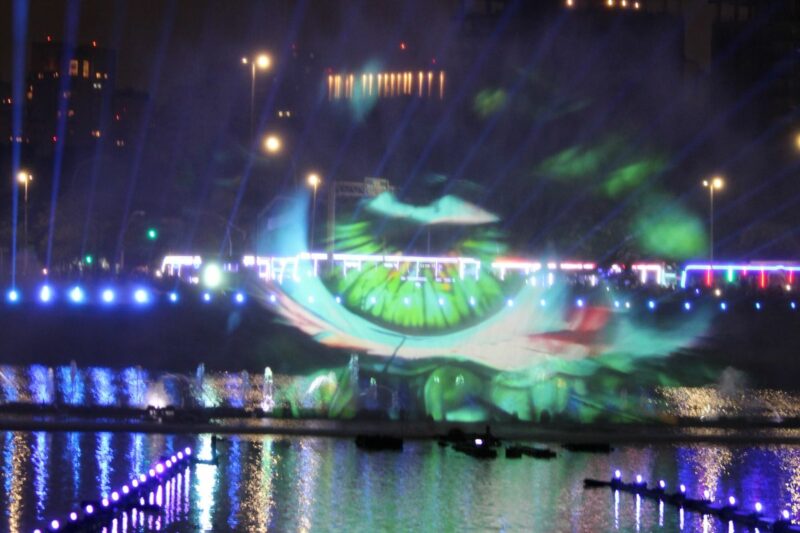 Árvore do Ibirapuera