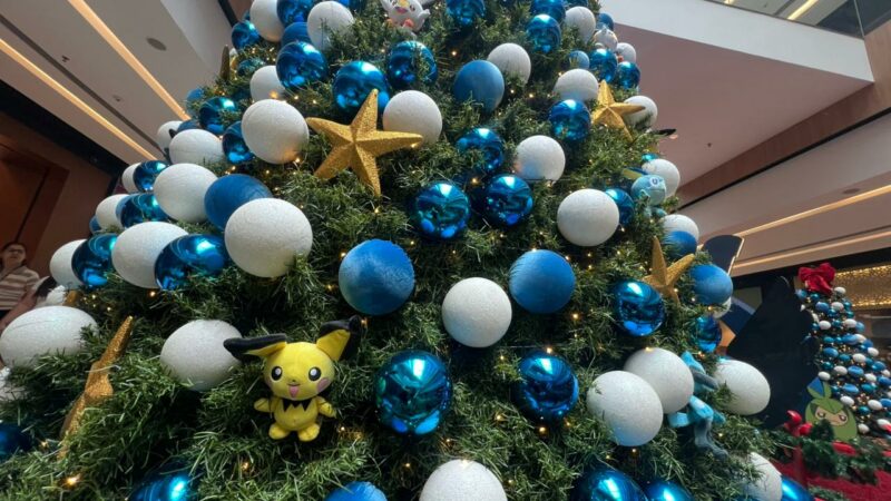 Shopping Parque da Cidade