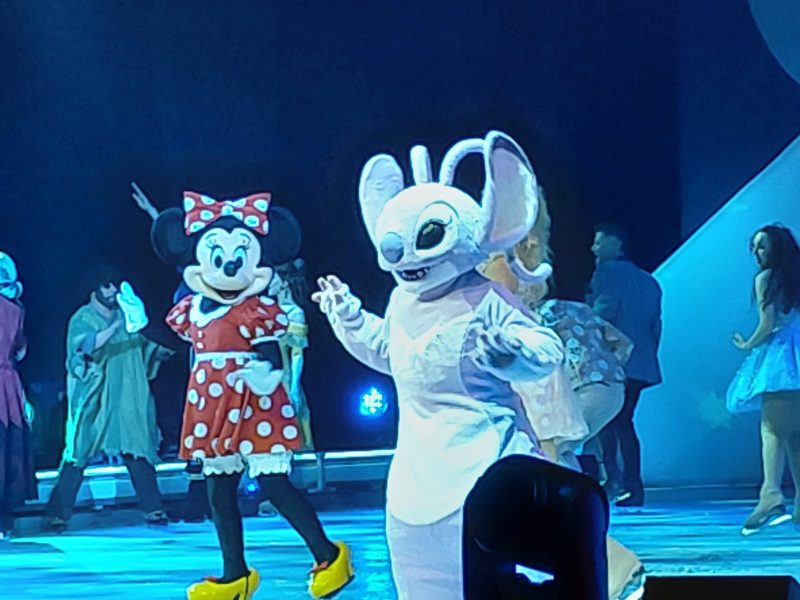 Disney On Ice Vibra